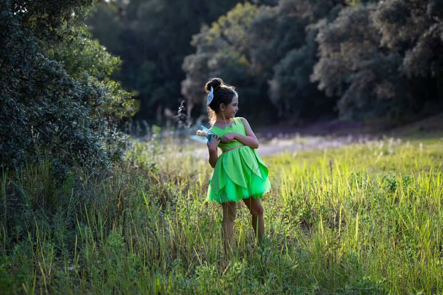 Pixie Dust and Roses Bows in Collobration with Graceful Kenzie