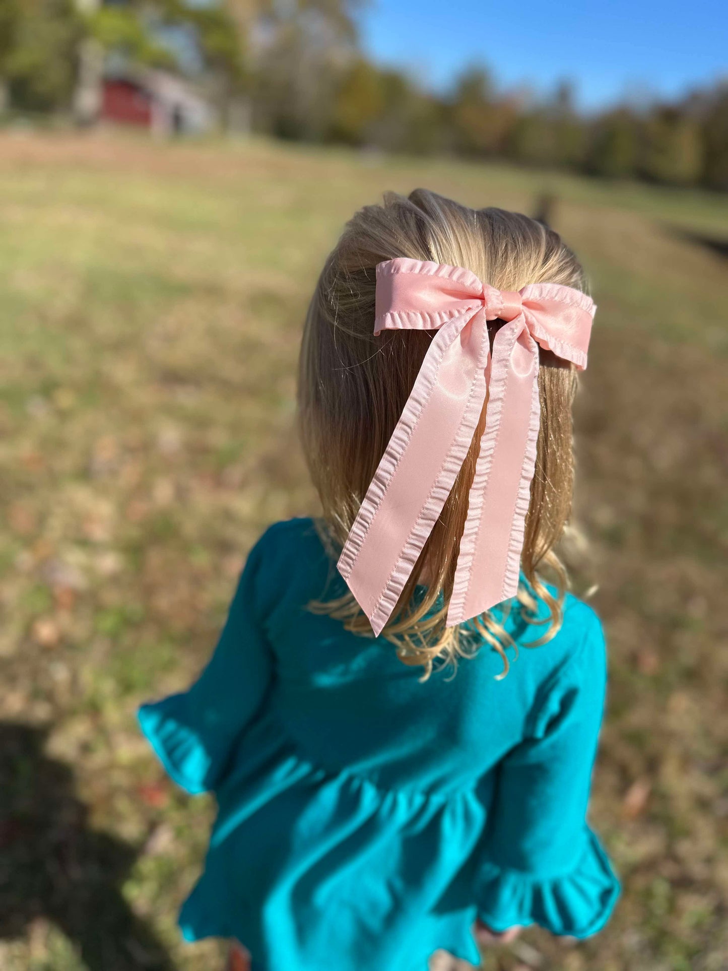 Thanksgiving Ruffles